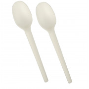 Cuillère à soupe PLA BIO 165mm - 100 pcs